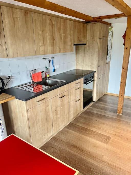 Chalet Sonnenheim, Wohnung Mit Panoramafenster อาเดลโบเดิน ภายนอก รูปภาพ