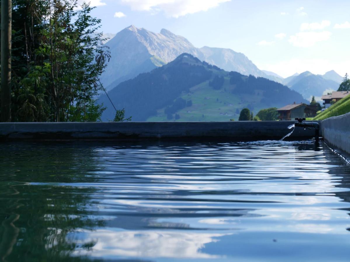 Chalet Sonnenheim, Wohnung Mit Panoramafenster อาเดลโบเดิน ภายนอก รูปภาพ